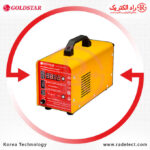 Charger-Battery-LG-300W-624-Goldstar-RADELECTRIC